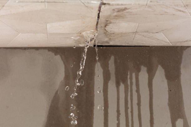 Professional Water Damage Repair technician working in Carrollton, MI
